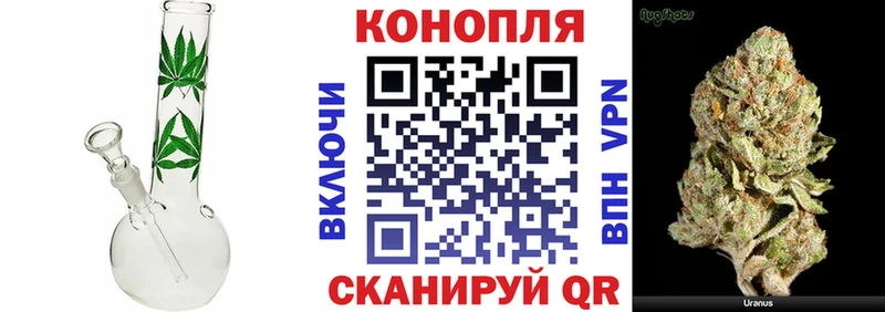 Конопля ГИДРОПОН Павловская